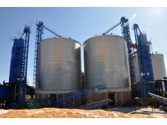 烘幹塔用提升機