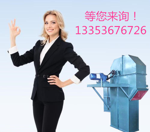 散料碎塊TH環鏈鬥式提升機（jī）詳解