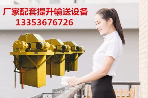 廠家配套各種型號鬥式提升機輸送機