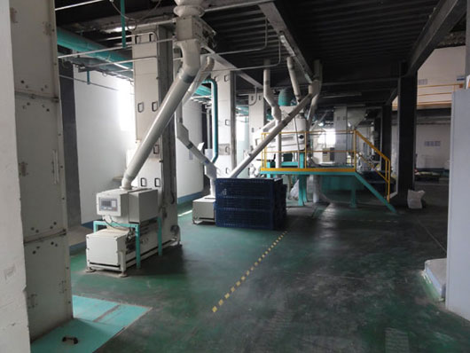 Z型鬥提機（jī）應用