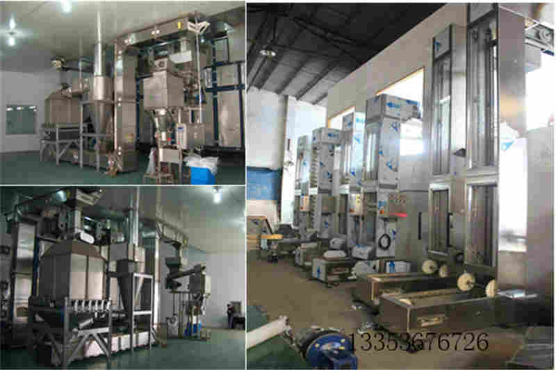 Z型提升機的（de）應（yīng）用